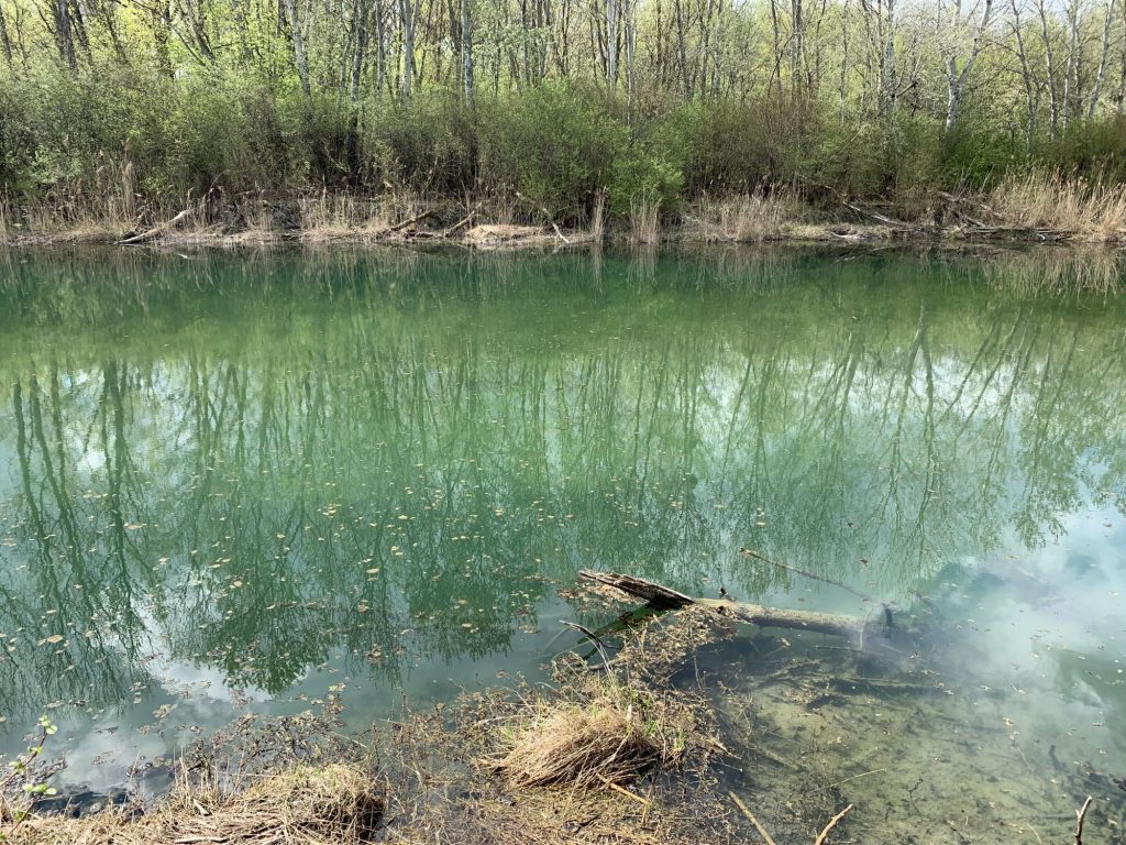 Mŕtve rameno Dunaja s extrémne čistou vodou, kde by som sa bez použita fluorocarbónového vlasca nezaobišiel.