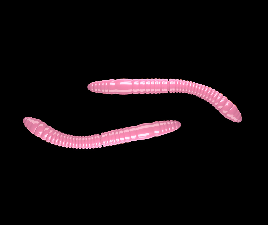 Obrázok produktu LIBRA LURES Fatty D’Worm Tournament 55 – Bubble Gum 017 (Krill) – 12ks/bal