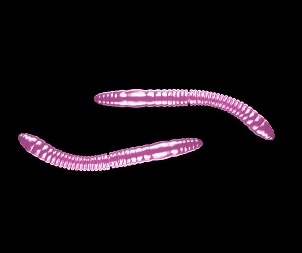 Libra lures fatty d 'worm 65 color Pink Pearl 10 piezas 018 