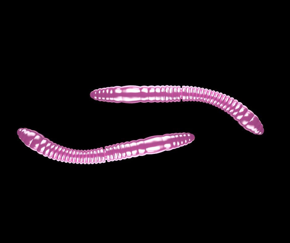 Obrázok produktu LIBRA LURES Fatty D’Worm Tournament 55 – Pink Pearl 018 (Krill) – 12ks/bal