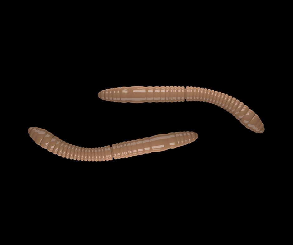 Obrázok produktu LIBRA LURES Fatty D’Worm Tournament 55 – Pellet 035 (Krill) – 12ks/bal
