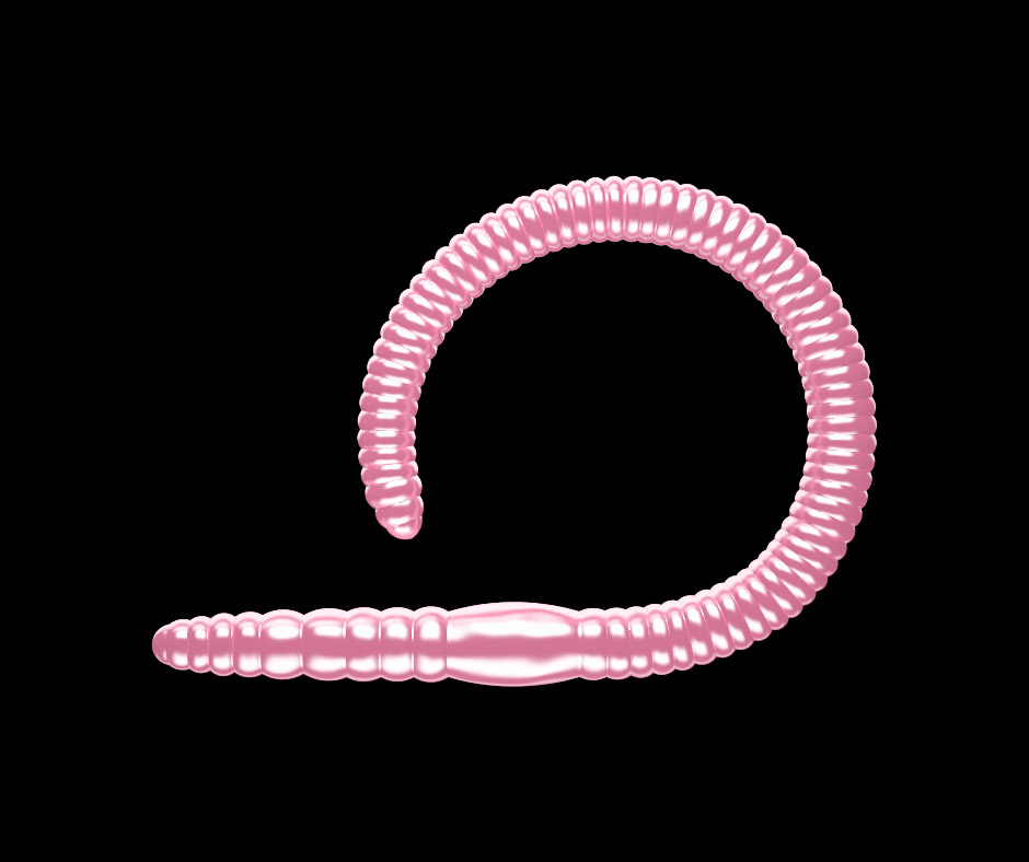 Obrázok produktu LIBRA LURES Flex Worm 95 – Pink Pearl 018 (Cheese) – 10ks/bal
