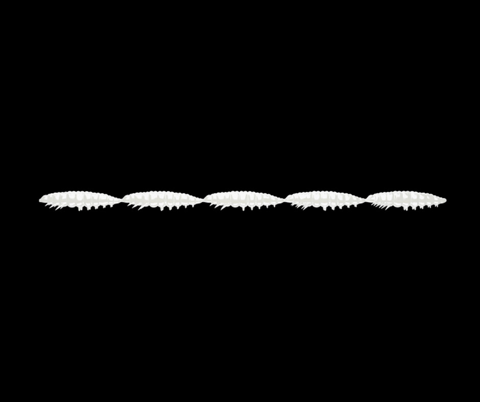 Obrázok produktu LIBRA LURES Larva Multi 5×25 – Silver Pearl 004 (Cheese) – 5x5ks/bal