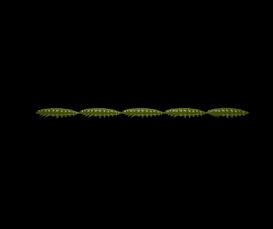 Obrázok produktu LIBRA LURES Larva Multi 5×25 – Olive 031 (Krill) – 5x5ks/bal