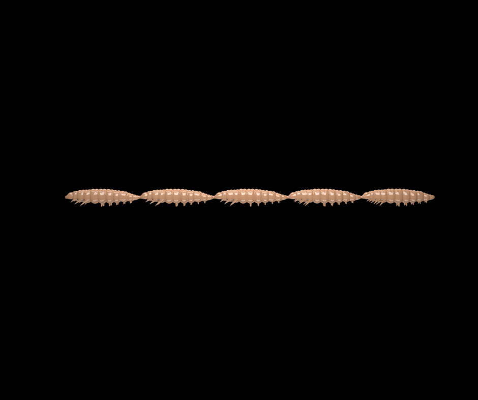 Obrázok produktu LIBRA LURES Larva Multi 5×25 – Pellet 035 (Krill) – 5x5ks/bal