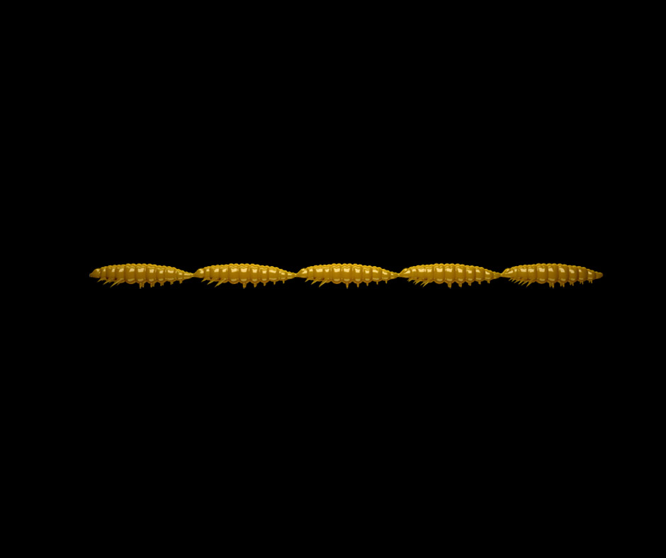 Obrázok produktu LIBRA LURES Larva Multi 5×25 – Coffe Milk 036 (Cheese) – 5x5ks/bal