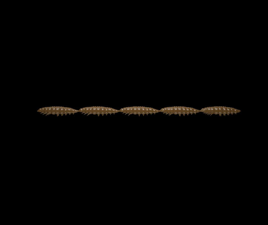 Obrázok produktu LIBRA LURES Larva Multi 5×25 – Brown 038 (Krill) – 5x5ks/bal