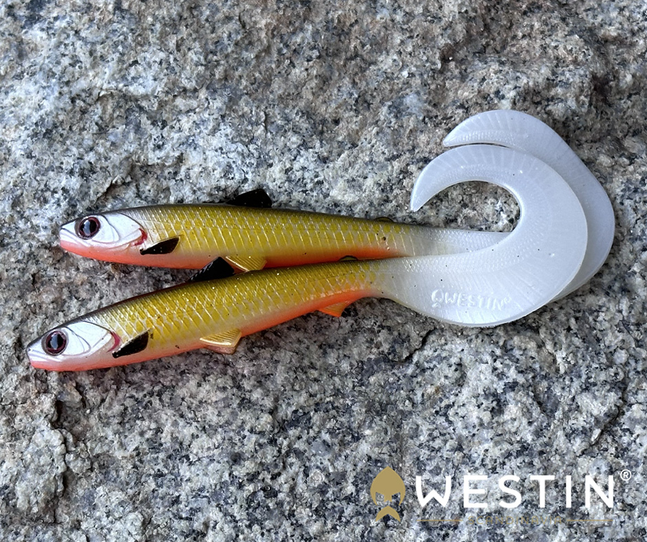 Obrázok produktu WESTIN BullTeez Curltail 10cm – Official Roach – 2ks/bal