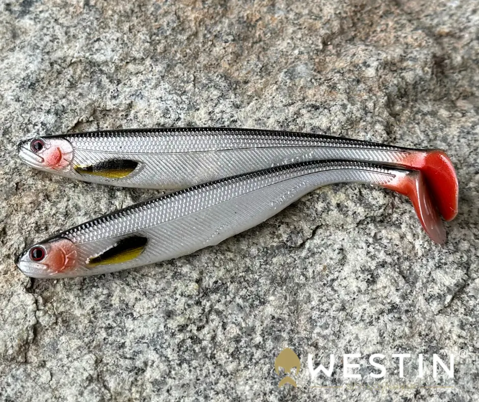 Obrázok produktu WESTIN ShadTeez Slim 12cm – Lively Roach – 2ks/bal