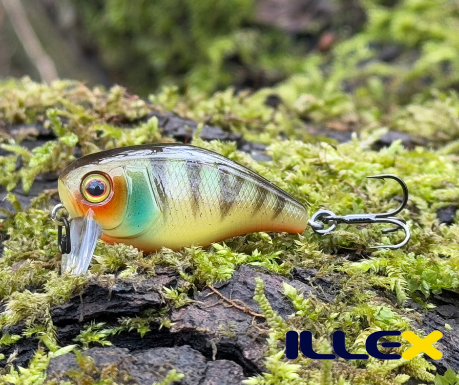 Obrázok produktu Wobler ILLEX Chubby 41 SSR- Aggressive Perch