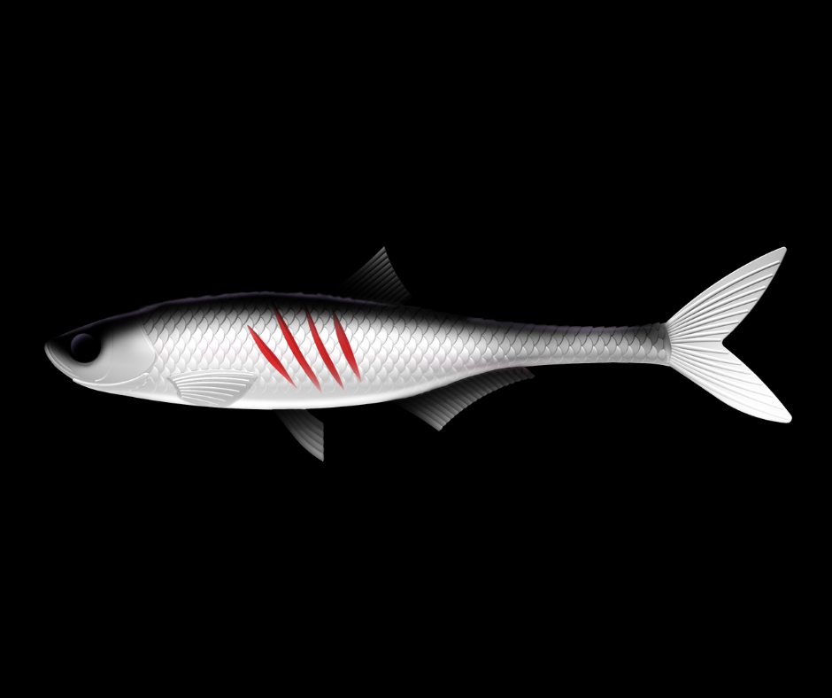Obrázok produktu LIBRA LURES Dead Fish 6,7″ – 16,7cm – White 001 – 2ks/bal