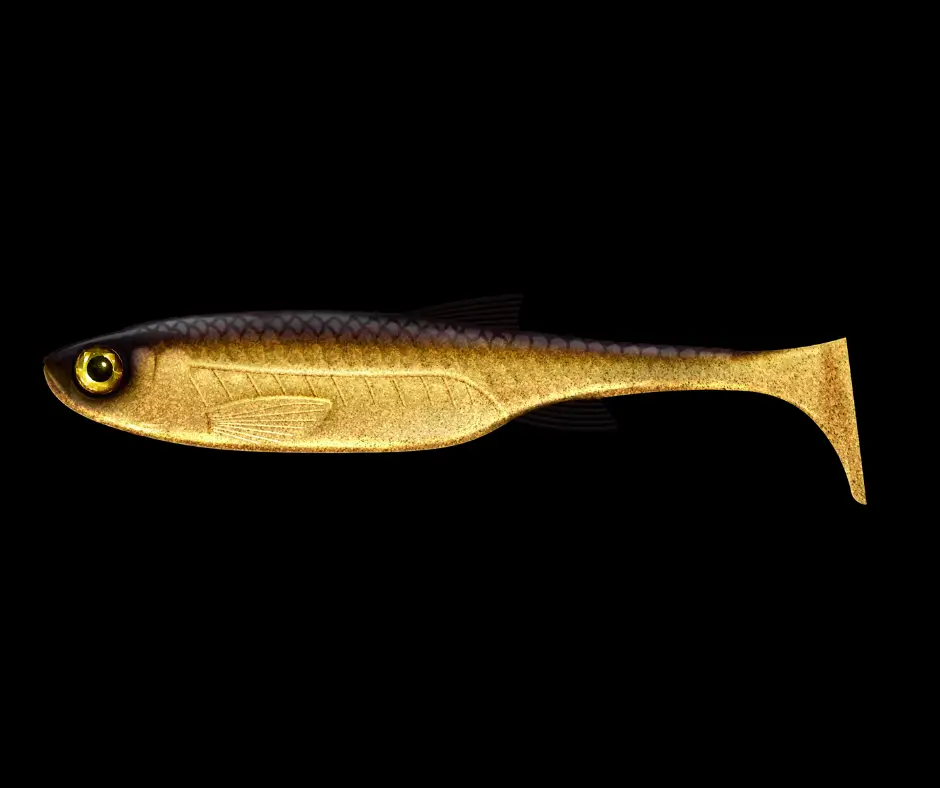 Obrázok produktu LIBRA LURES Kraken Shad 8″ – Gold 009 – 1ks/bal