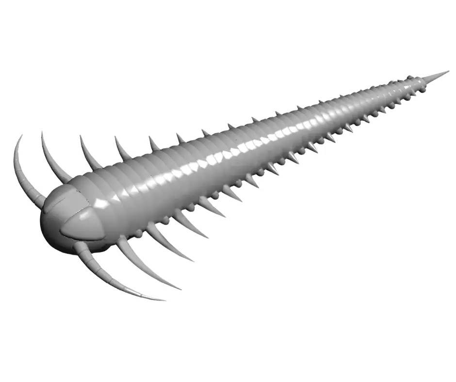 Obrázok produktu LIBRA LURES Slayzur 55 – Cheese 005 (Krill) – 12ks/bal