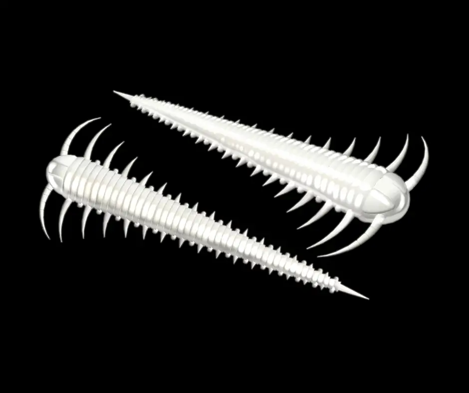 Obrázok produktu LIBRA LURES Slayzur 55 – Silver Pearl 004 (Cheese) – 12ks/bal