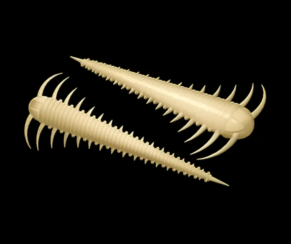 Obrázok produktu LIBRA LURES Slayzur 55 – Cheese 005 (Krill) – 12ks/bal