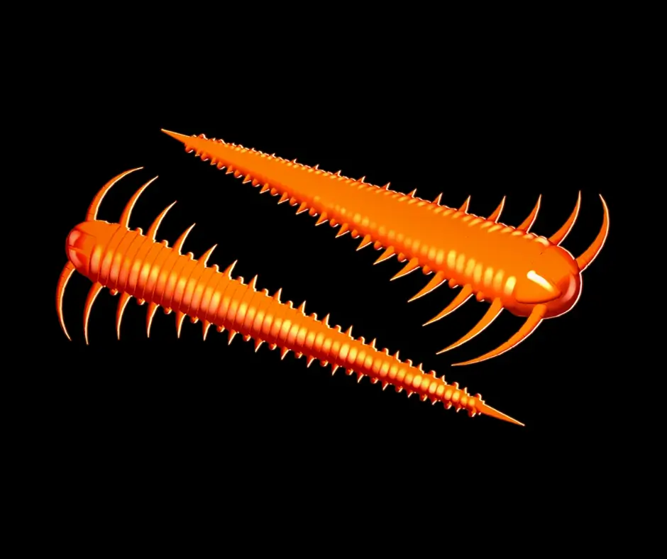 Obrázok produktu LIBRA LURES Slayzur 55 – Hot Orange 011 (Krill) – 12ks/bal