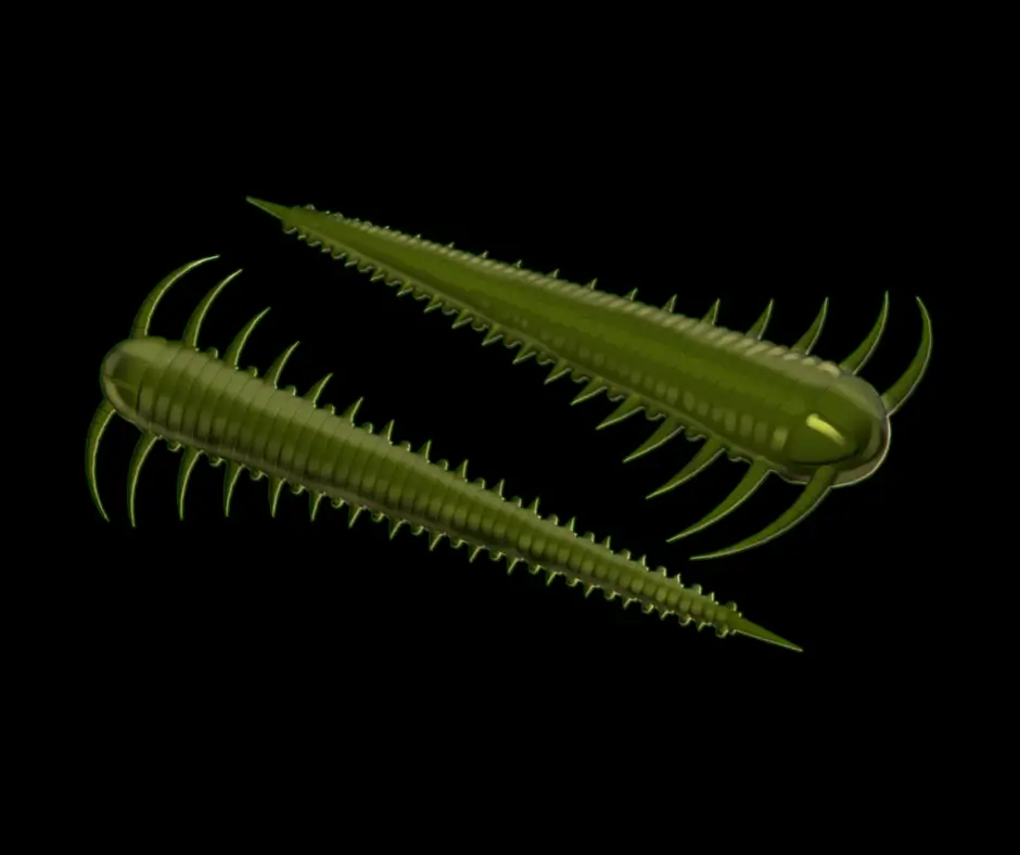 Obrázok produktu LIBRA LURES Slayzur 55 – Olive 031 (Krill) – 12ks/bal