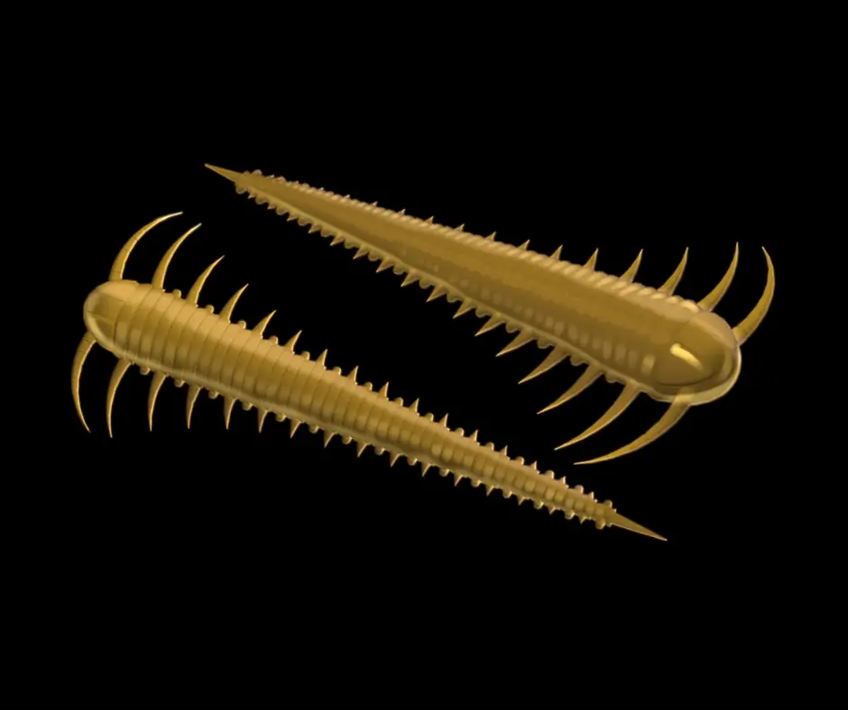 Obrázok produktu LIBRA LURES Slayzur 55 – Coffe Milk 036 (Krill) – 12ks/bal