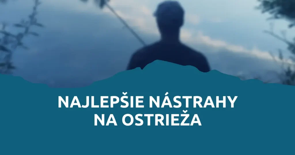 Obrázok článku: Aké nástrahy na ostrieža fungujú najlepšie?