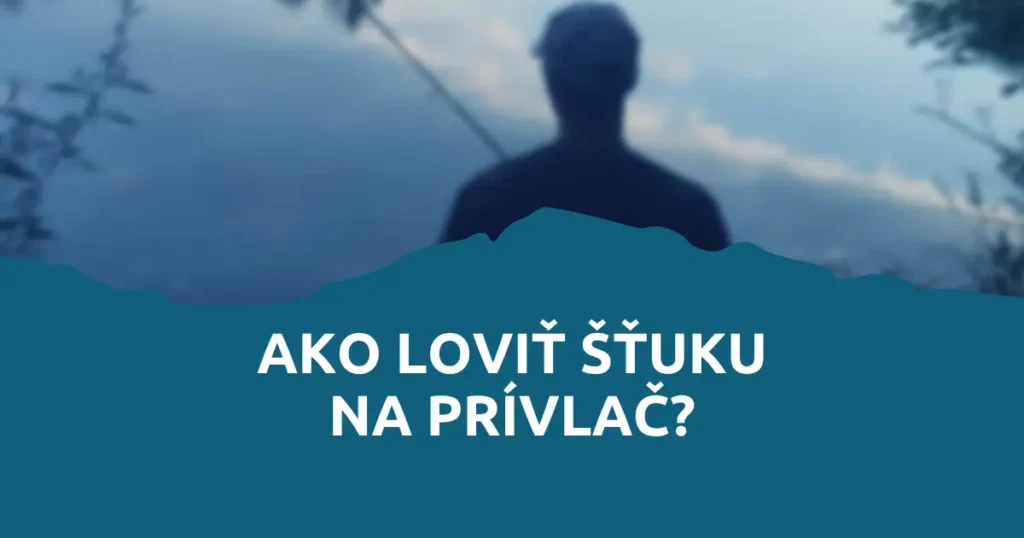 Obrázok článku: Ako loviť šťuku na prívlač?
