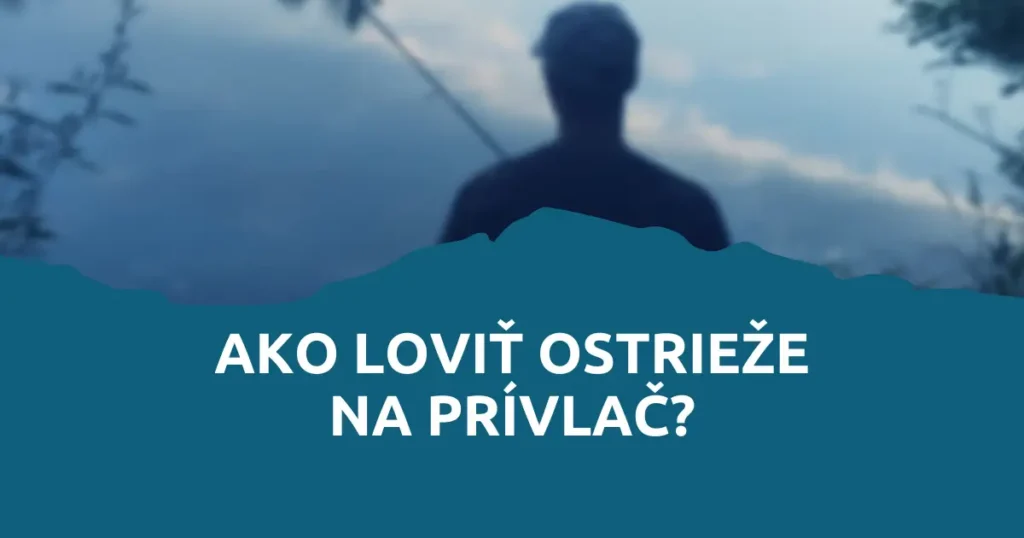 Obrázok článku: Ako loviť ostrieže na prívlač